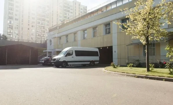 Мозг 1