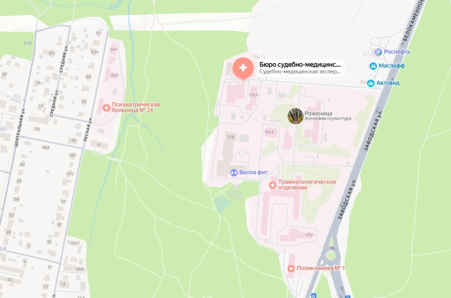 Морг г. Видное, Видновский судебный морг СМЭ